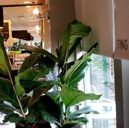 Campanile & Restaurant Arnhem - Hotel Zevenaar