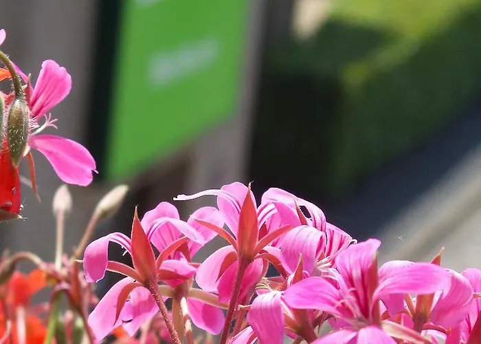 Campanile & Restaurant Arnhem - 3*