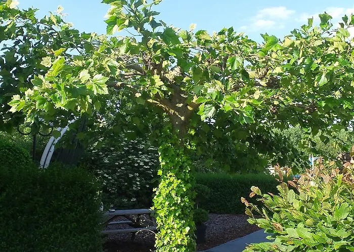 Hotel Campanile & Restaurant Arnhem - Zevenaar