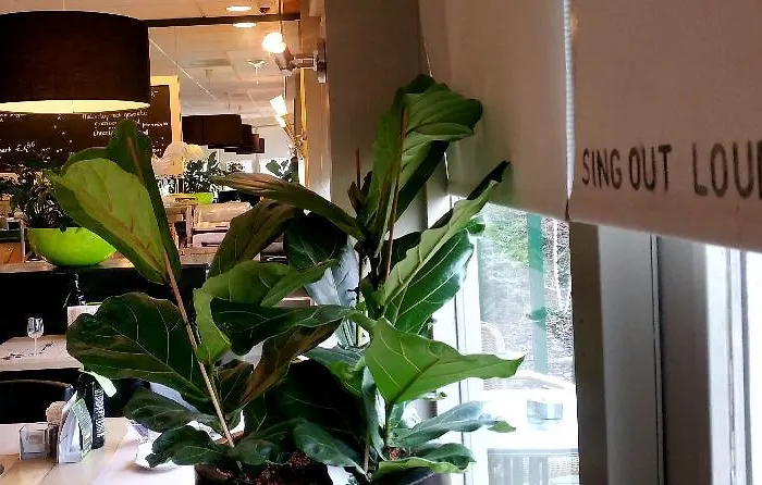 Campanile & Restaurant Arnhem - Hotel Zevenaar