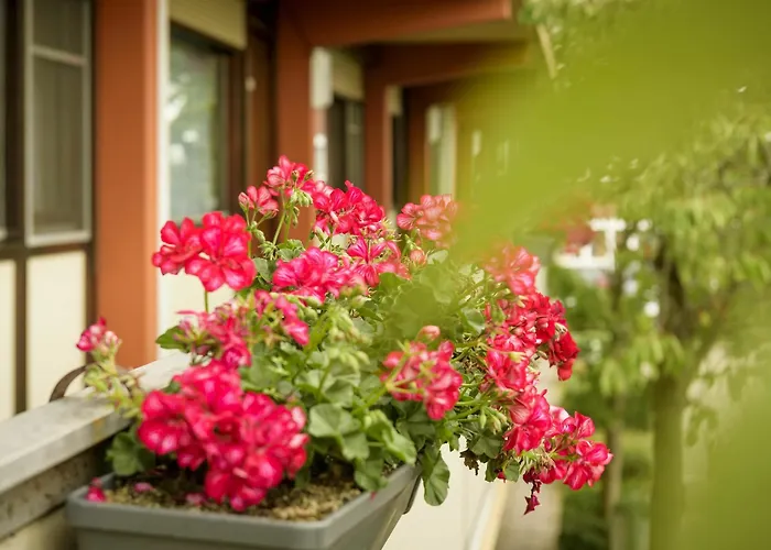 Hotel Campanile & Restaurant Arnhem - Zevenaar